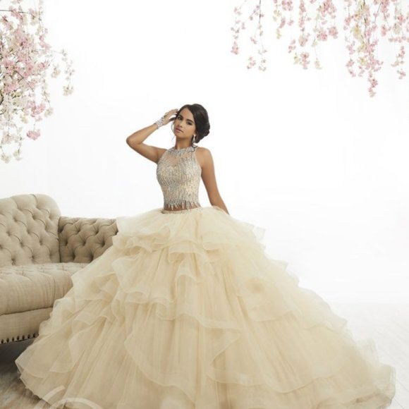Quinceañera dress - Picture 4 of 5
